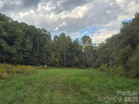 000 Cook Lane Mills River NC 28759