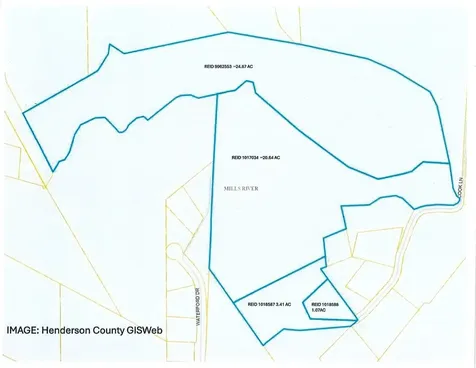 000 Cook Lane Mills River NC 28759