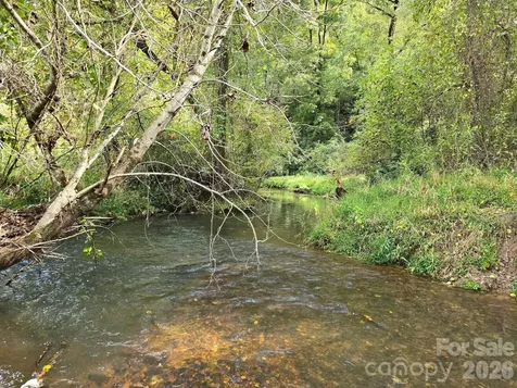 000 Cook Lane Mills River NC 28759