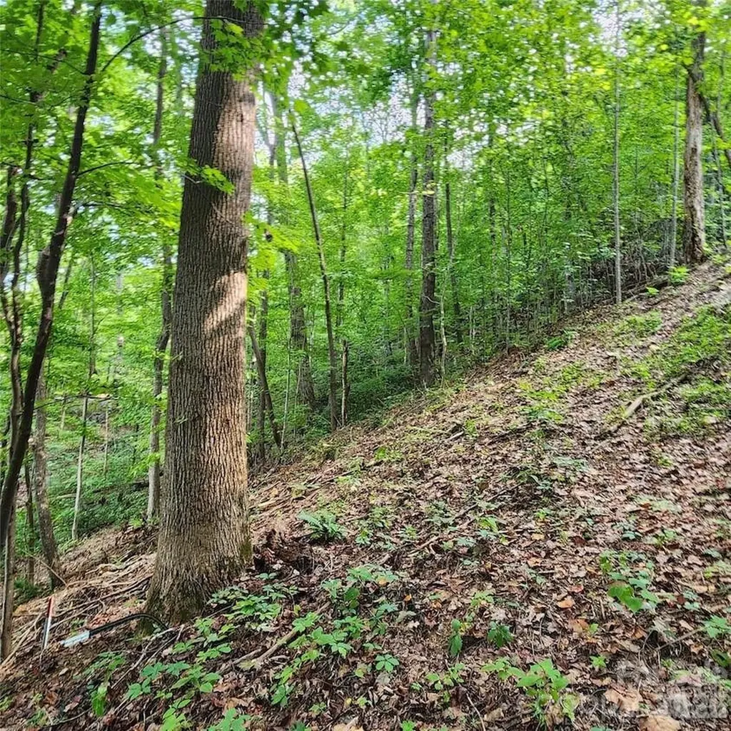 0 Switchback Road Lake Lure NC 28746