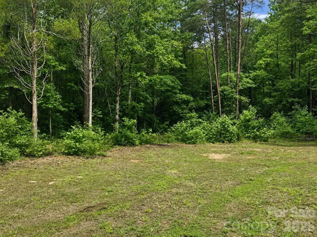 4583 Shawnee Court Maiden NC 28650