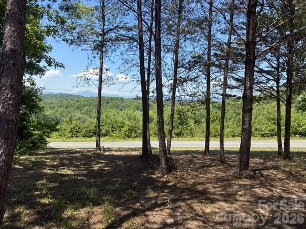 1431 Mountain Creek Road Rutherfordton NC 28139