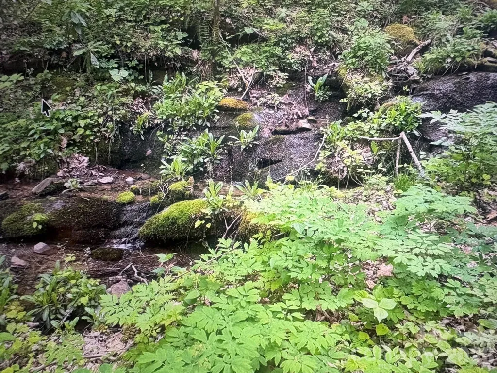 0 Huckleberry Walk Bryson City NC 28713