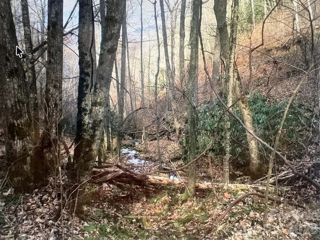0 Huckleberry Walk Bryson City NC 28713