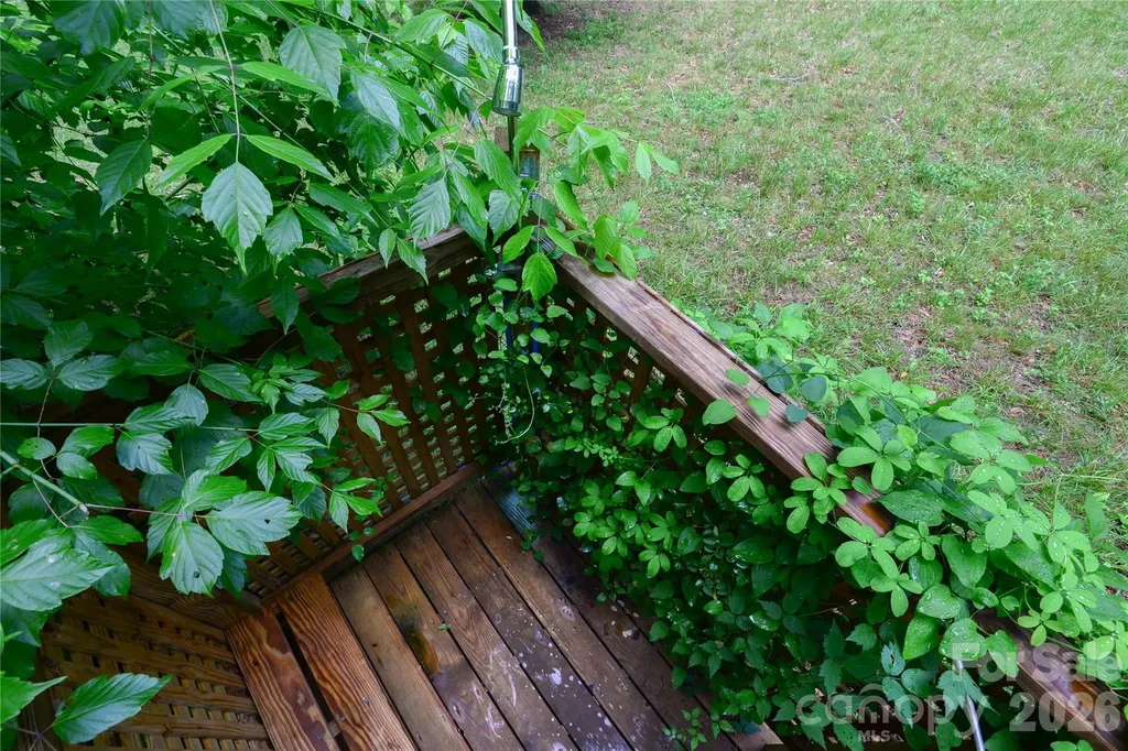 24 Sarabec Hill Road Black Mountain NC 28711