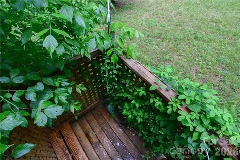 24 Sarabec Hill Road Black Mountain NC 28711