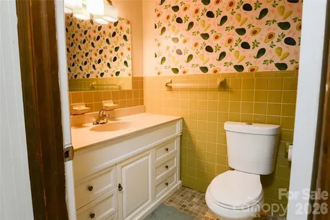 24 Sarabec Hill Road Black Mountain NC 28711