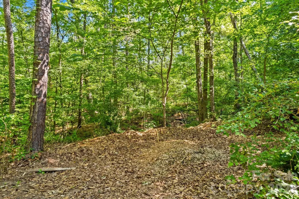 4455 Moose Road China Grove NC 28023