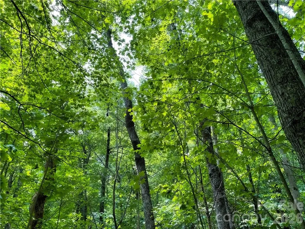 L-36 Saint Moritz Lane Spruce Pine NC 28749