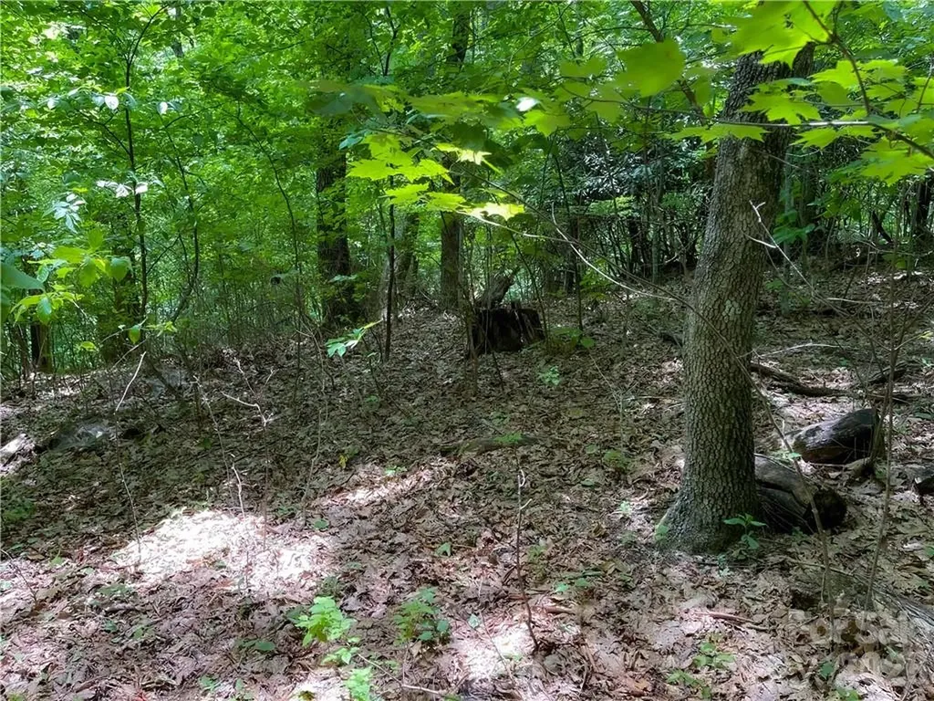 L-36 Saint Moritz Lane Spruce Pine NC 28749