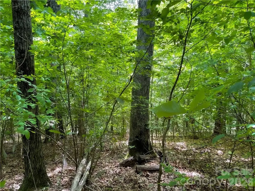 L-36 Saint Moritz Lane Spruce Pine NC 28749
