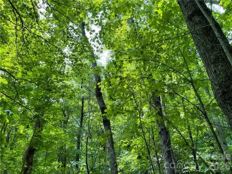 L-36 Saint Moritz Lane Spruce Pine NC 28749