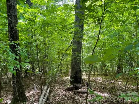 L-36 Saint Moritz Lane Spruce Pine NC 28749