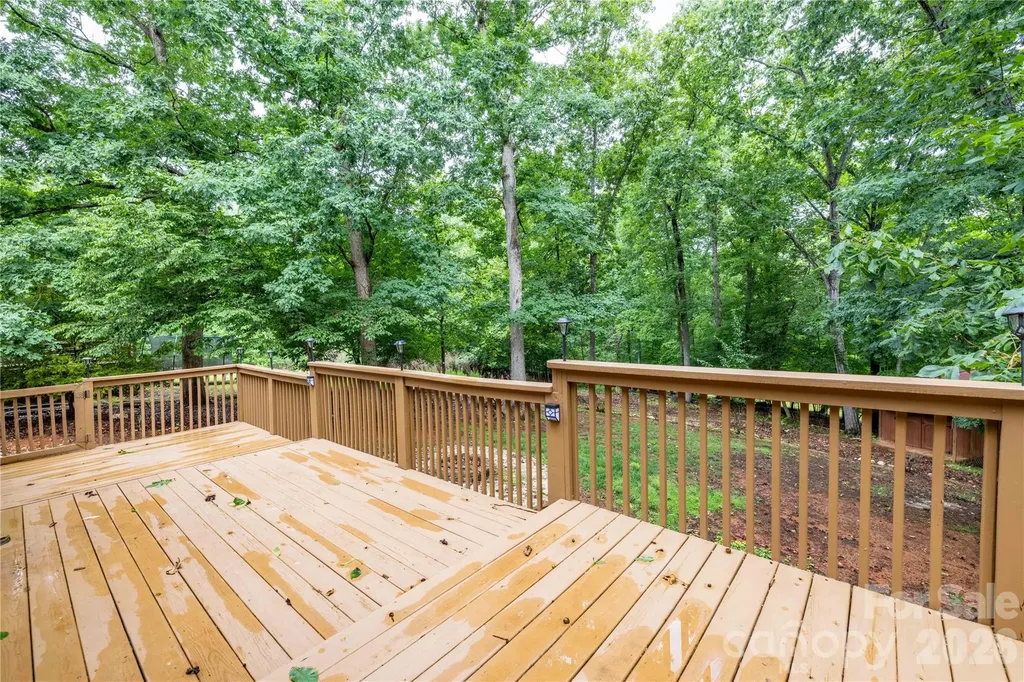 302 Skyland Court Mount Gilead NC 27306