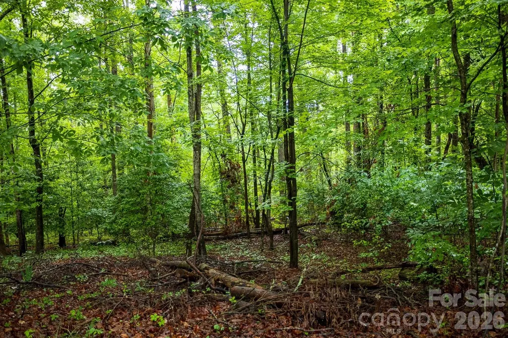 1225 Moss Road Rutherfordton NC 28139