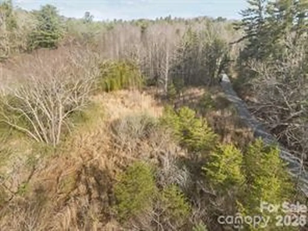 425 Nelson Valley Lane Hendersonville NC 28739