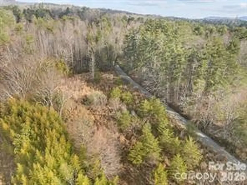 425 Nelson Valley Lane Hendersonville NC 28739