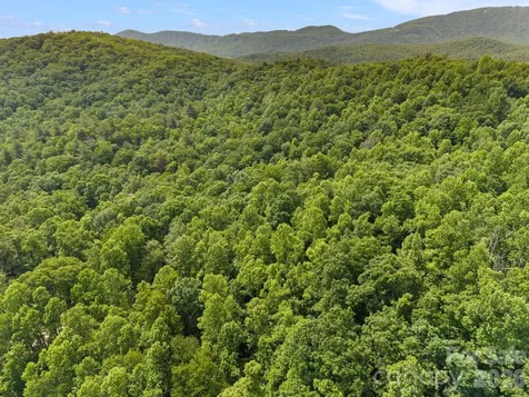 145 Hickory Tree Lane Hendersonville NC 28739