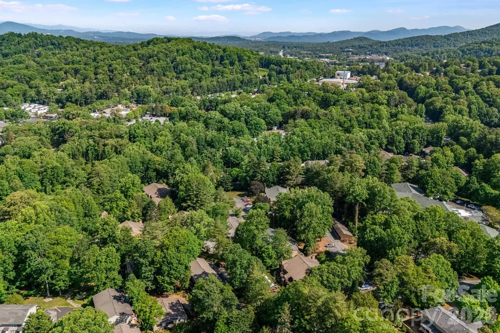 60 Ravencroft Lane Asheville NC 28803