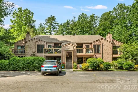 60 Ravencroft Lane Asheville NC 28803