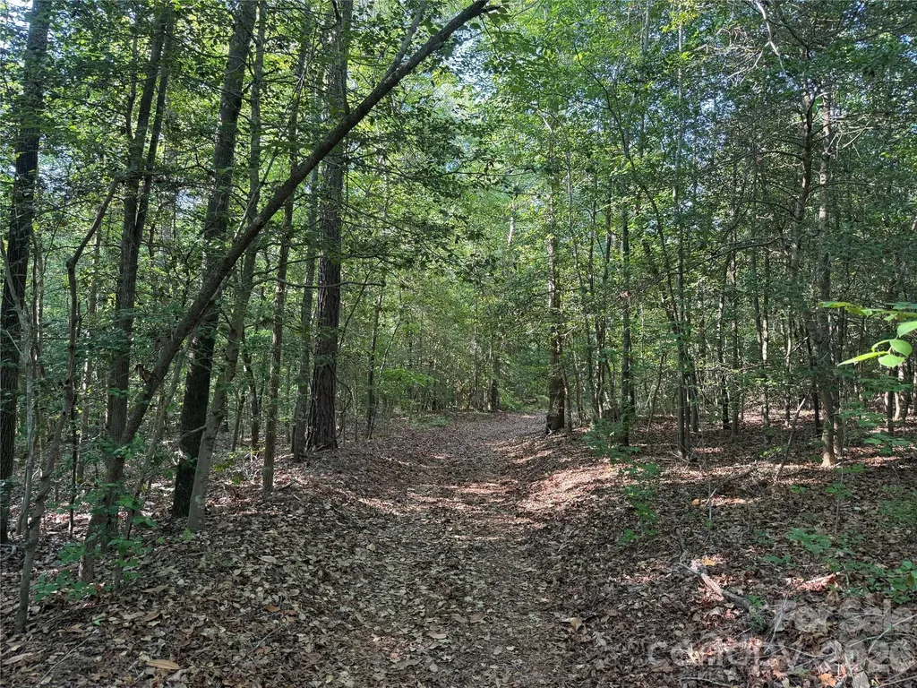 Tbd Murray Manor Road Rockingham NC 28379