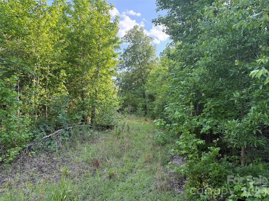 Tbd Murray Manor Road Rockingham NC 28379