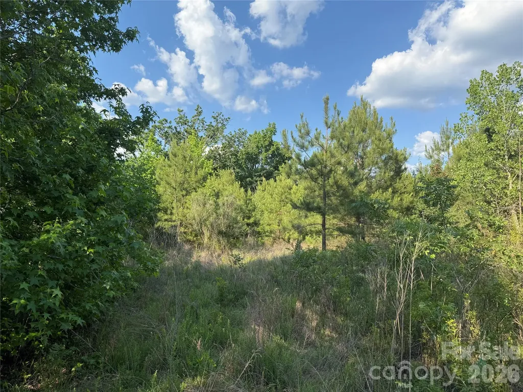 Tbd Murray Manor Road Rockingham NC 28379