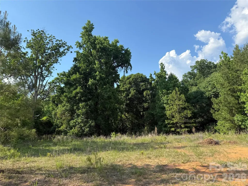 Tbd Murray Manor Road Rockingham NC 28379