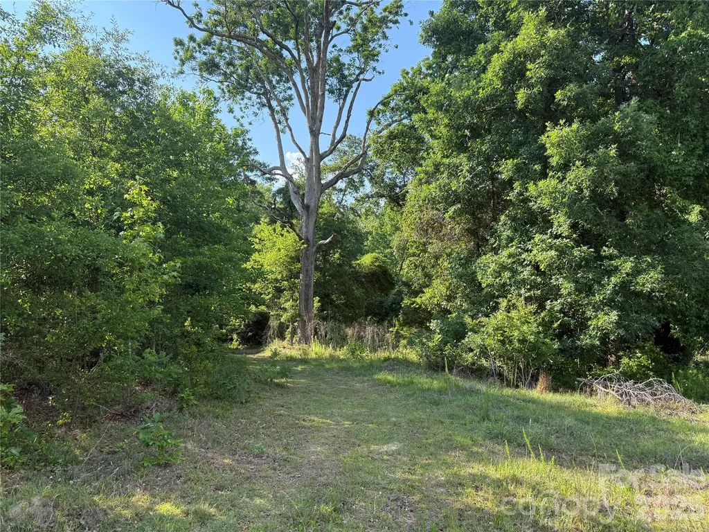 Tbd Murray Manor Road Rockingham NC 28379
