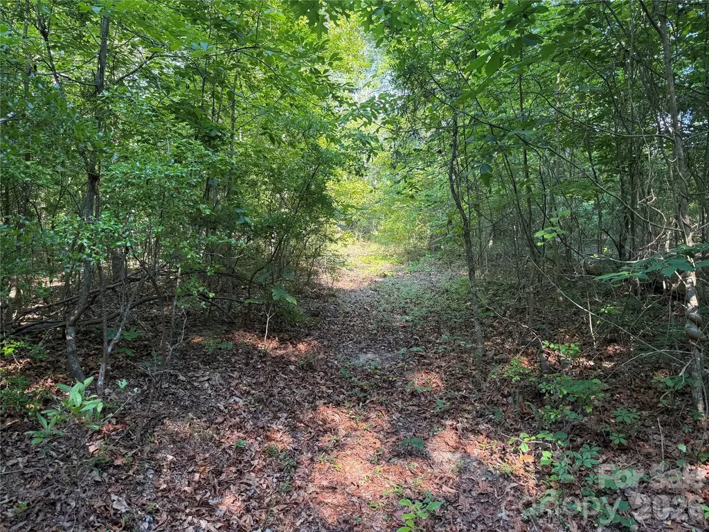 Tbd Murray Manor Road Rockingham NC 28379