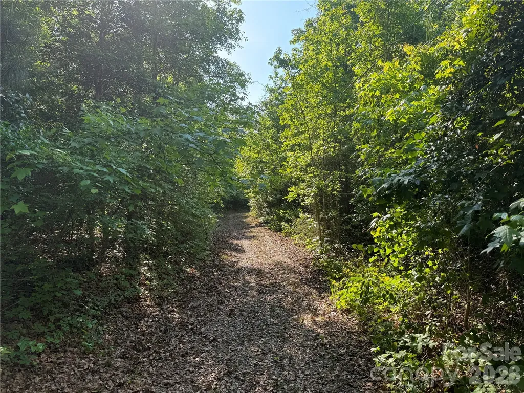 Tbd Murray Manor Road Rockingham NC 28379