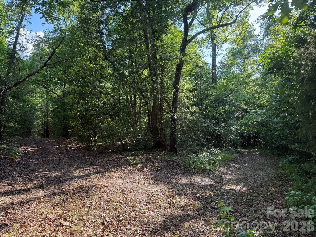 Tbd Murray Manor Road Rockingham NC 28379