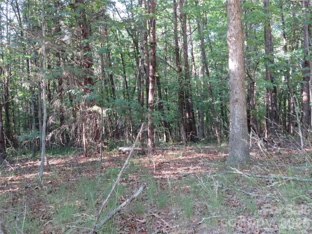 262 Flat Rock Road Forest City NC 28043