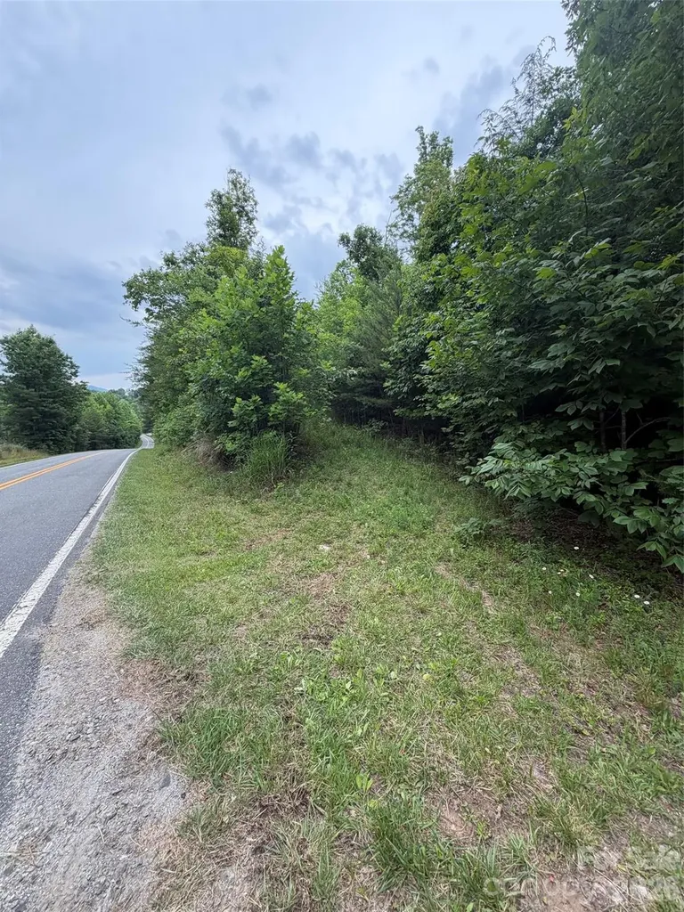 Lot 8 Parker Padgett Road Old Fort NC 28762