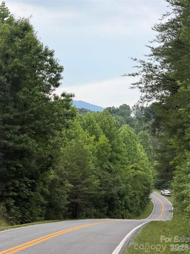 Lot 8 Parker Padgett Road Old Fort NC 28762
