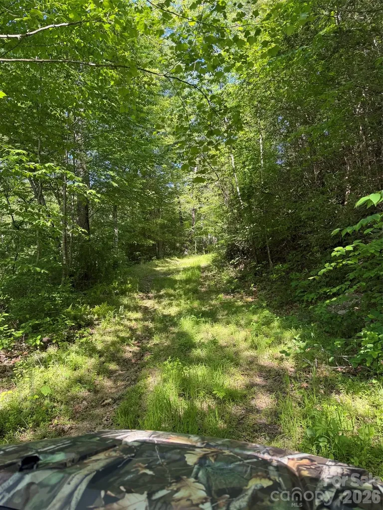 Lot 8 Parker Padgett Road Old Fort NC 28762