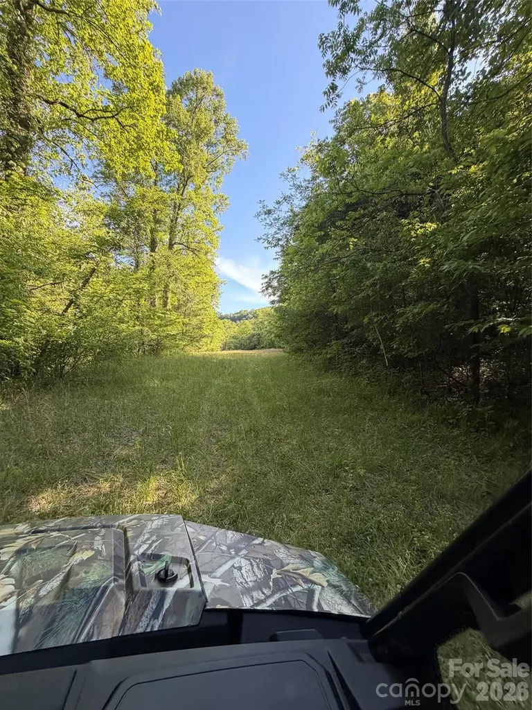 Lot 8 Parker Padgett Road Old Fort NC 28762