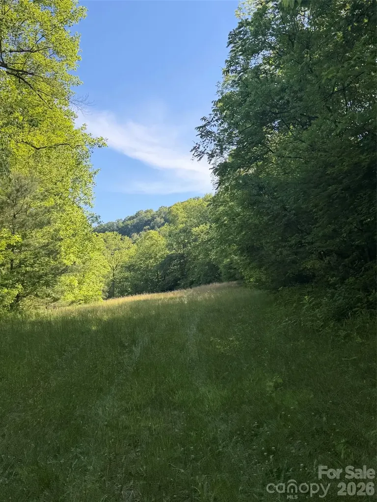 Lot 8 Parker Padgett Road Old Fort NC 28762