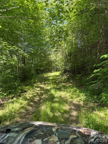 Lot 8 Parker Padgett Road Old Fort NC 28762