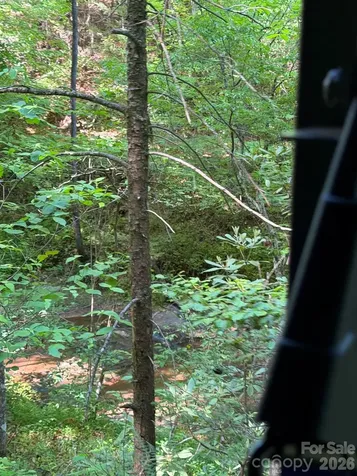 Lot 8 Parker Padgett Road Old Fort NC 28762