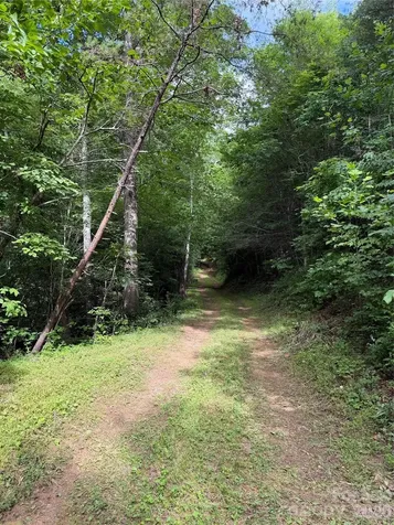 Lot 10 Parker Padgett Road Old Fort NC 28762
