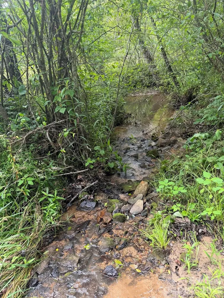 Lot 11 Parker Padgett Road Old Fort NC 28762