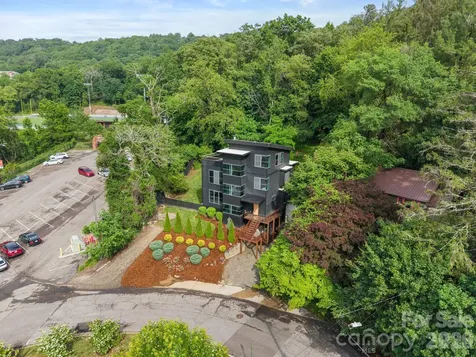 53 Buchanan Place Asheville NC 28801