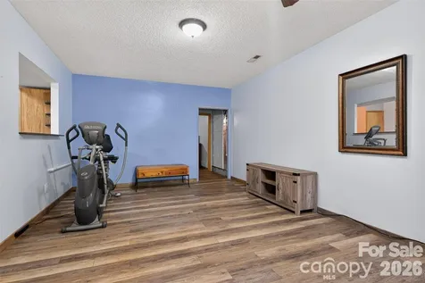 66 Misery Ridge Mill Spring NC 28756