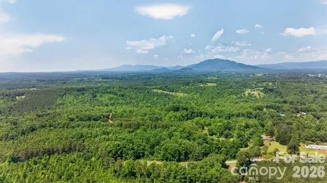 66 Misery Ridge Mill Spring NC 28756
