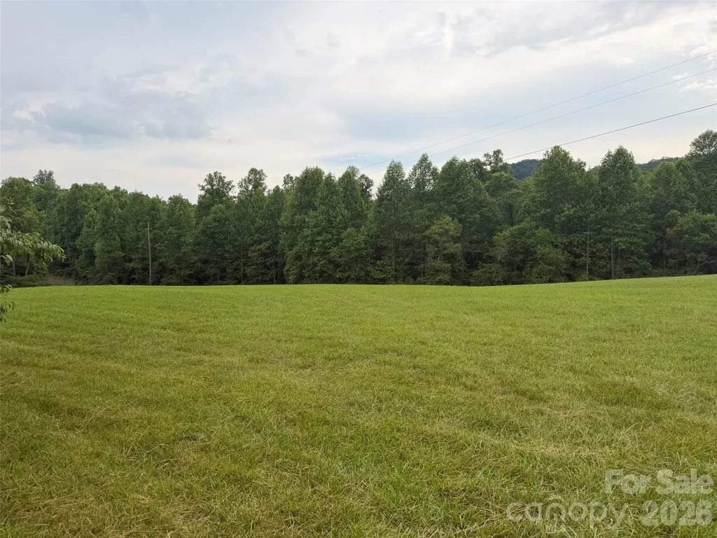 Lot 4 Parker Padgett Road Old Fort NC 28762
