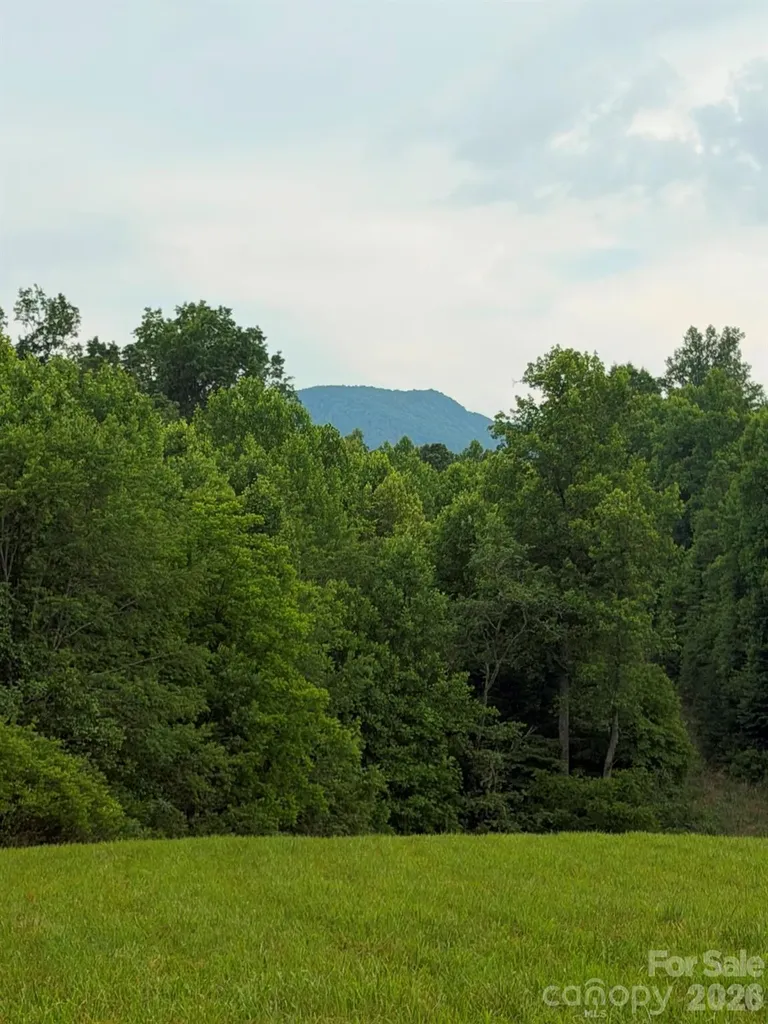 Lot 4 Parker Padgett Road Old Fort NC 28762