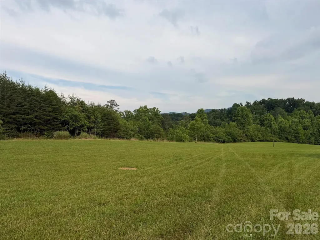 Lot 5 Parker Padgett Road Old Fort NC 28762