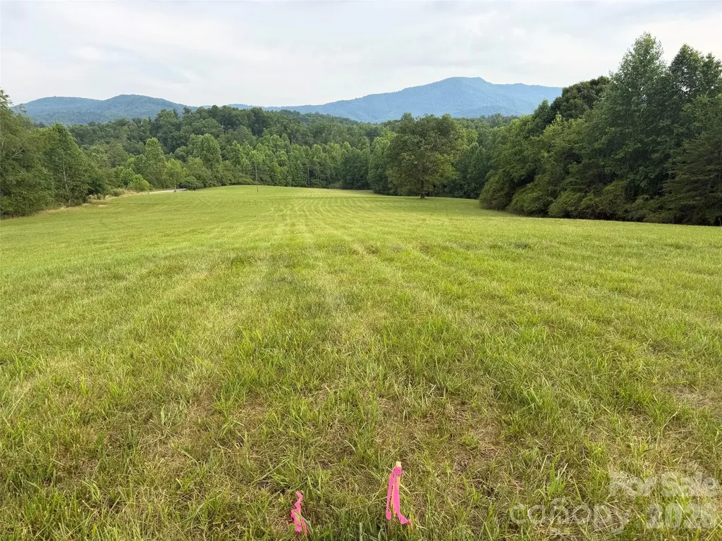 Lot 6 Parker Padgett Road Old Fort NC 28762
