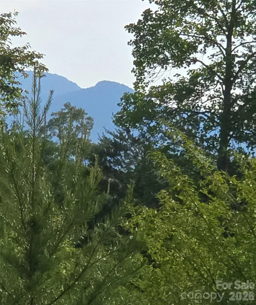 66 Misery Ridge Trail Mill Spring NC 28756